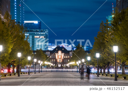 【紅葉　いちょう  東京駅】 46152517