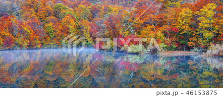 朝靄に煙る錦秋の鎌池 46153875