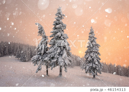 Dramatic wintry scene with snowy trees. Dramatic wintry scene with snowy trees. 46154313