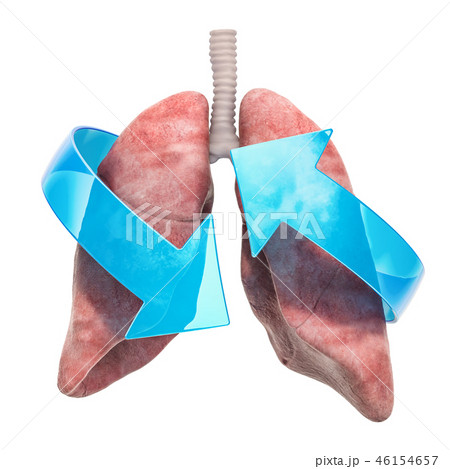 Human lungs with arrows. Treatment and recovery Human lungs with arrows. Treatment and recovery 46154657