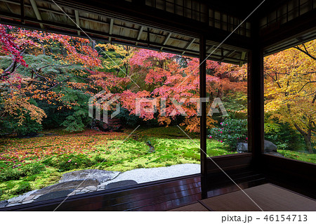 京都の紅葉 京都の紅葉 46154713