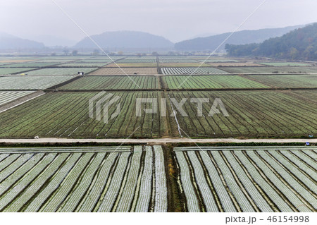 牛浦 昌寧郡 慶南 46154998