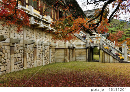 紅葉 仏国寺 吐含山 46155204