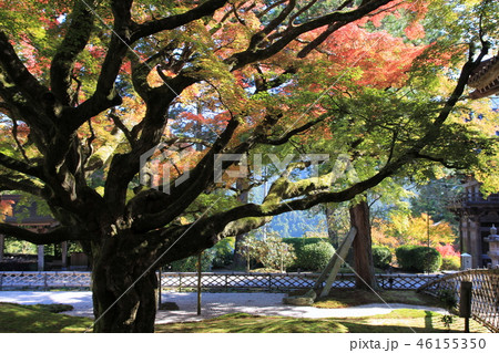 紅葉の雷山千如寺(糸島市) 紅葉の雷山千如寺(糸島市) 46155350