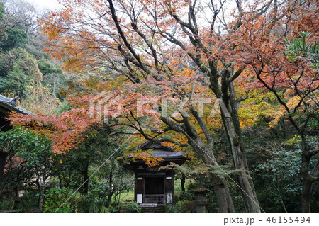 鎌倉　円覚寺 紅葉  Engakuji temple 46155494