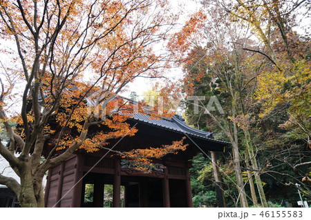 鎌倉市 妙本寺 二天門 Myohonji temple 鎌倉市 妙本寺 二天門 Myohonji temple 46155583