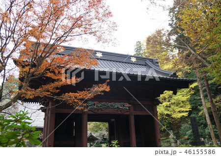 鎌倉市　妙本寺 二天門  Myohonji temple 46155586