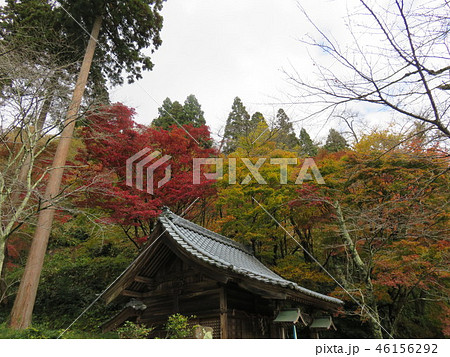 福井県　今越前市　花筐公園 46156292
