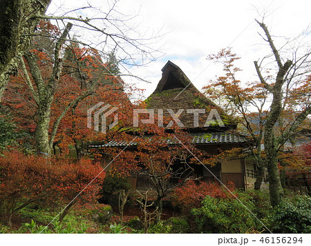 福井県　今越前市　花筐公園 46156294