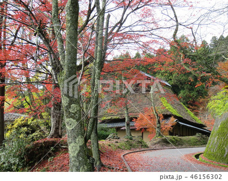 福井県　今越前市　花筐公園 46156302