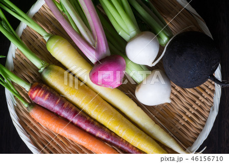 根菜色々 46156710