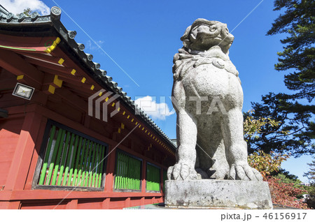 日光二荒山神社 狛犬 日光二荒山神社 狛犬 46156917