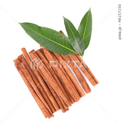 Top view of cinnamon stick spice white background 46157150