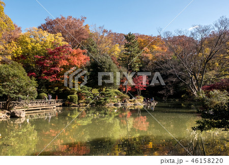 有栖川宮記念公園の秋 46158220