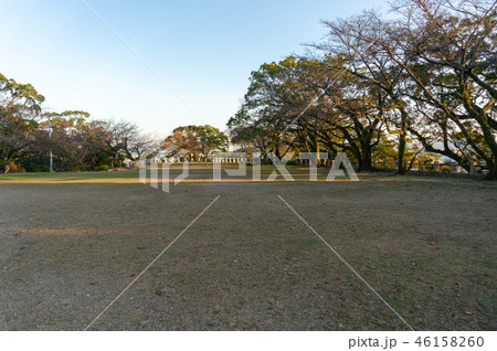 徳島城の本丸跡 徳島城の本丸跡 46158260