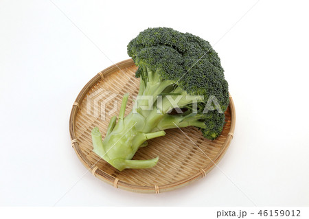 ブロッコリー 46159012