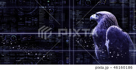 CG 46160186