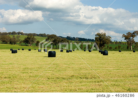 Rolls of Hay Rolls of Hay 46160286