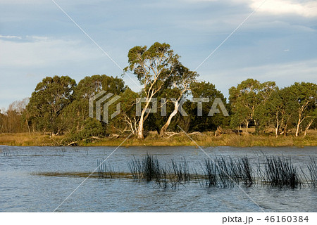Wingecarribee River 46160384