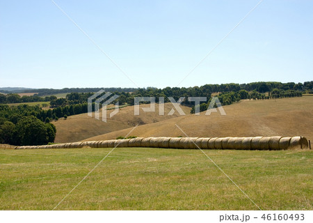 Rolls of Hay Rolls of Hay 46160493