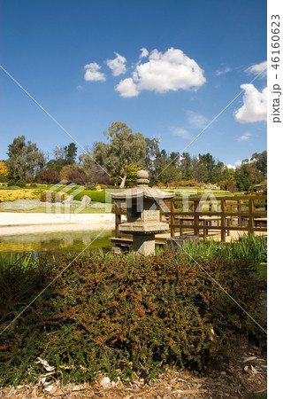 Japanese Garden Japanese Garden 46160623
