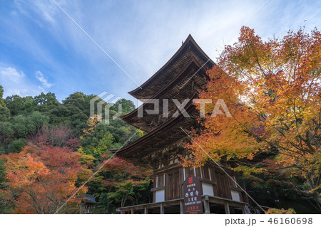 湖東三山 西明寺197 46160698