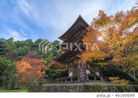 湖東三山 西明寺203 湖東三山 西明寺203 46160699