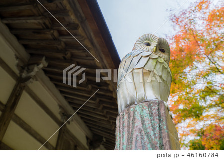 湖東三山 西明寺522 46160784