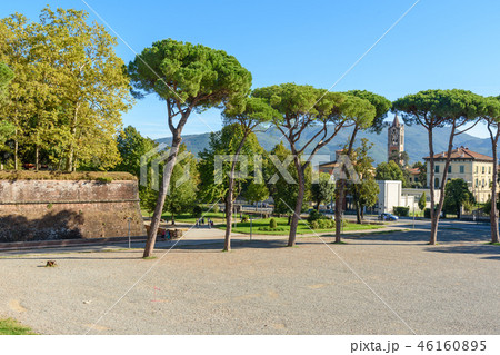 View outside from city wall in Lucca. Italy 46160895