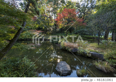 甘泉園公園の下池 46161061