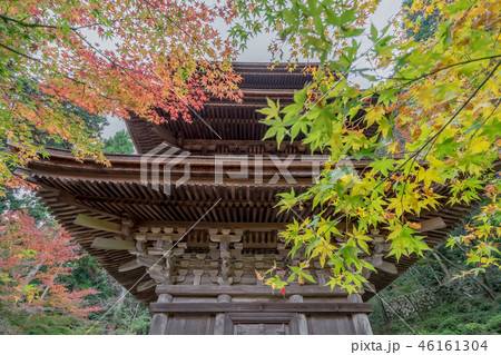 湖東三山 金剛輪寺283 46161304