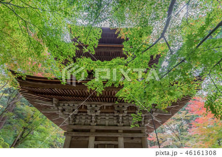湖東三山 金剛輪寺268 46161308