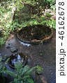柿田川公園の湧水 46162678