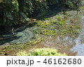柿田川湧水 46162680
