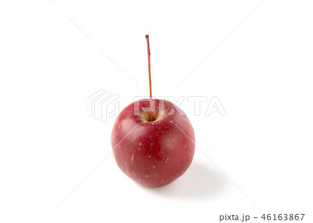 りんご　アルプス乙女 46163867