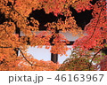 秋の色 46163967