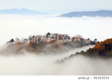 天空の城3206 46164054