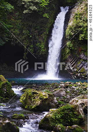 【日本の滝100選】新緑の浄蓮の滝 46164325