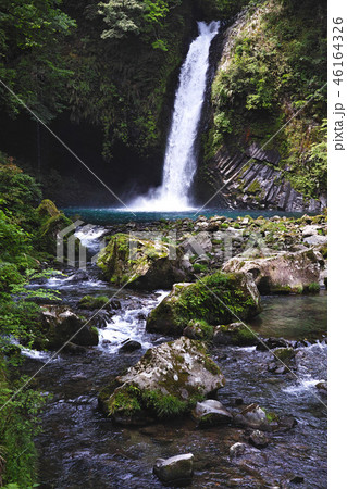 【日本の滝100選】新緑の浄蓮の滝 46164326