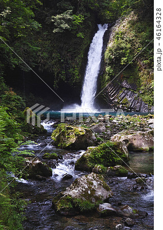 【日本の滝100選】新緑の浄蓮の滝 46164328