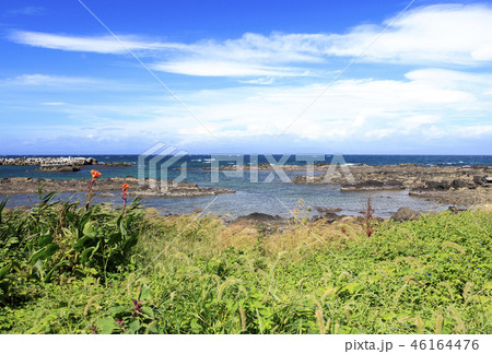 小和田湾 小和田湾 46164476