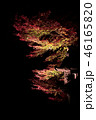 紅葉と石灯篭 46165820