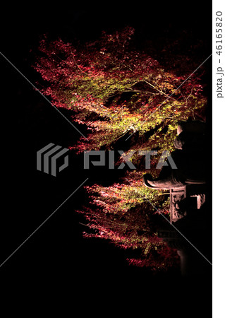 紅葉と石灯篭 46165820