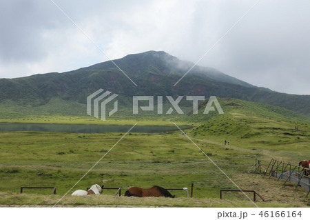 阿蘇山　南阿蘇村　九州 46166164