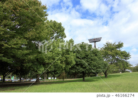 大井 大井 46166274