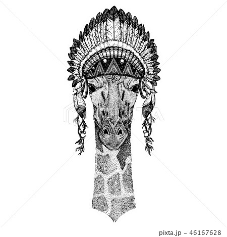 Giraffe, camelopard, zoo. Wild animal wearing inidan headdress with feathers. Boho chic style Giraffe, camelopard, zoo. Wild animal wearing inidan headdress with feathers. Boho chic style 46167628