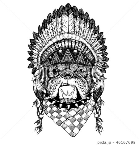 Dog, bulldog. Wild animal wearing inidan headdress with feathers. Boho chic style illustration for Dog, bulldog. Wild animal wearing inidan headdress with feathers. Boho chic style illustration for 46167698