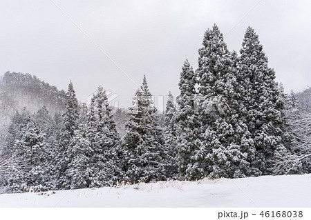 雪の日の風景 山形 雪の日の風景 山形 46168038