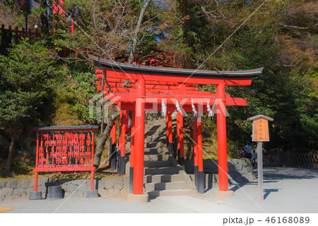 鎌倉 鶴岡八幡宮 丸山稲荷社 鎌倉 鶴岡八幡宮 丸山稲荷社 46168089