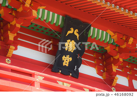鎌倉 鶴岡八幡宮 鎌倉 鶴岡八幡宮 46168092